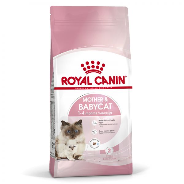 Royal Canin food for kittens and cats of all breeds during pregnancy